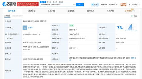 中國電信在湖南成立數智科技公司，聚焦網絡與信息安全軟件開發